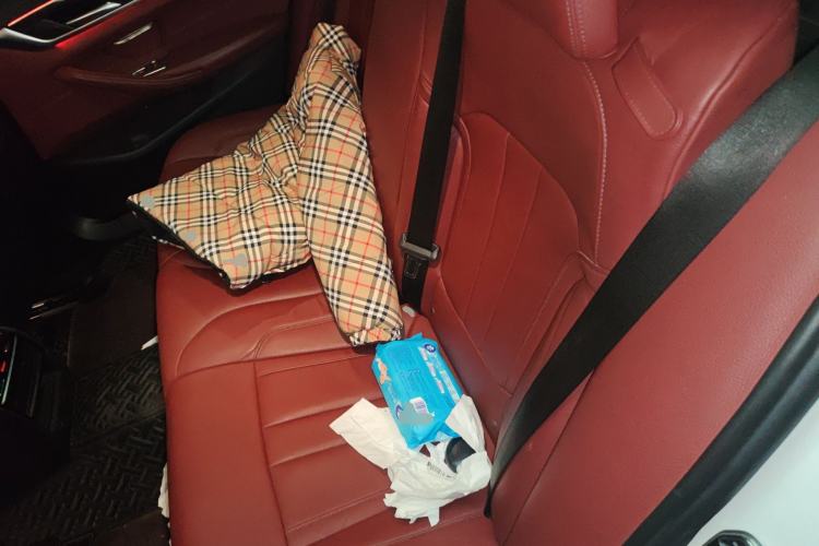 Used BMW 5 Series 2019 Facelifted 530Li Leading Edition M Sport Package
