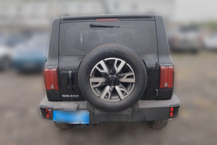 Used Tank 300 2024 2.0T Crosser Rear