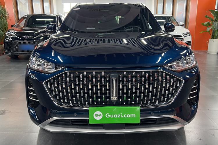 Used Wey Mocha 2021 2.0T Four-Wheel Drive Premium Edition