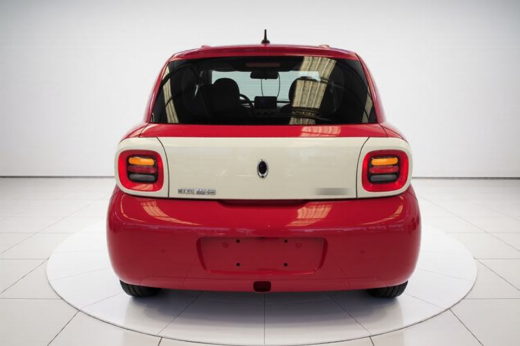 Used ORA Black Cat 2021 351 km Luxury Version