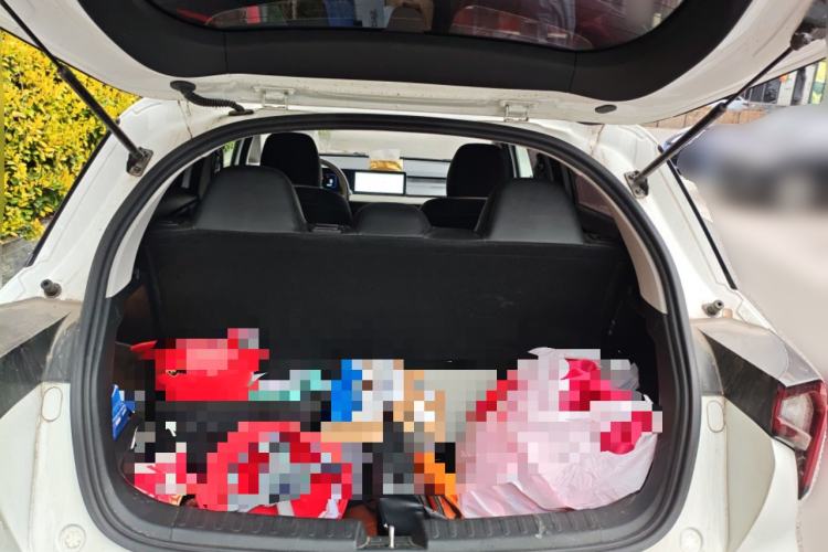 Used Geometry E Firefly 2024 401 km Fluorescent