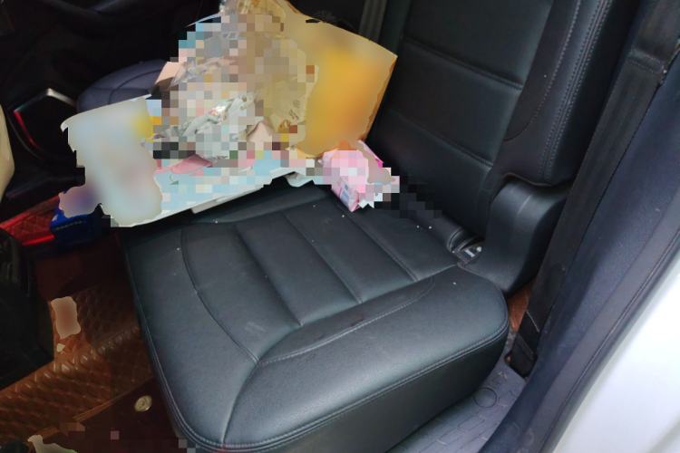 Used Haval H7 2017 Blue-Label H7L 2.0T Automatic Luxury Model Left Rear Seat