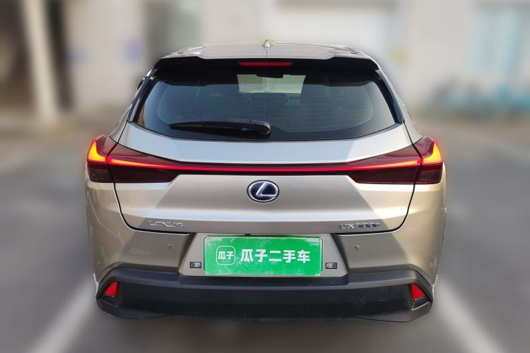 Used Lexus UX New Energy 2020 300e Pure·Joy Edition Rear