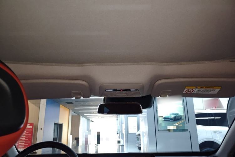 Used XPeng P7 2020 586N Headliner