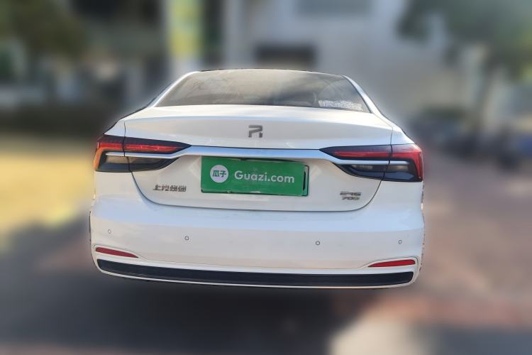 Used Rising ER6 2021 New Dynamic Edition 620km Smart Drive Version
