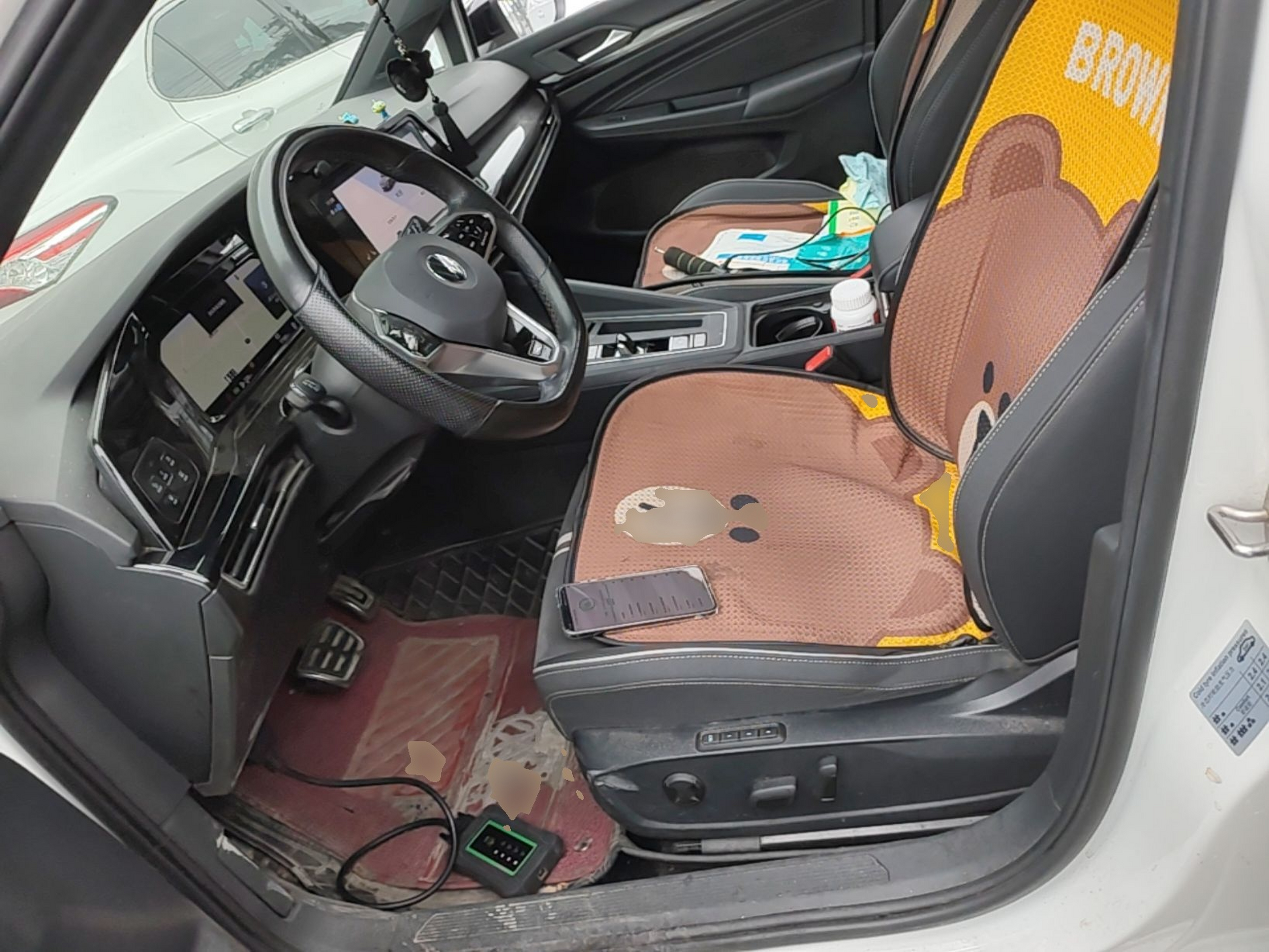 Interior delantero