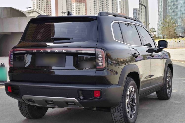 Used Haval DARGO 2024 2.0T DCT Chinese Rural Dog Edition
