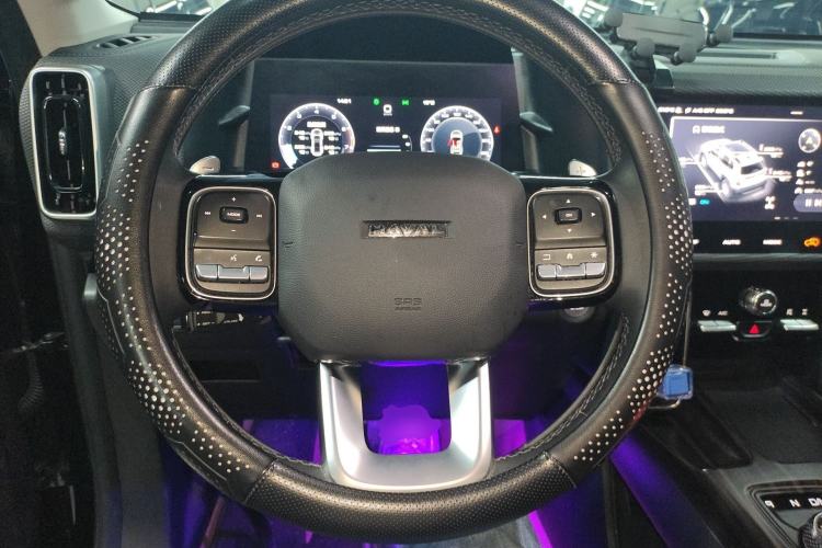 Used Haval DARGO 2024 2.0T DCT Chinese Rural Dog Edition
