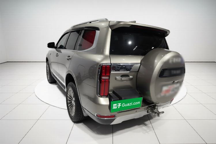 Used Tank 500 New Energy 2023 Hi4-T Exterior 2