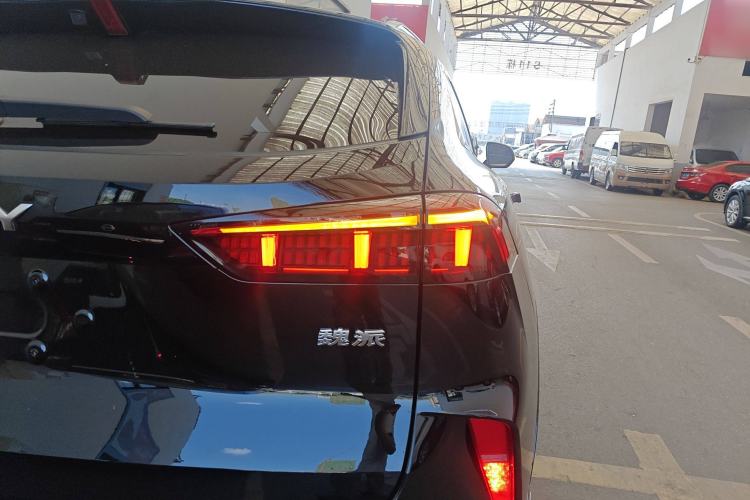 Used Wey Mocha 2021 2.0T Four-Wheel Drive Premium Edition
