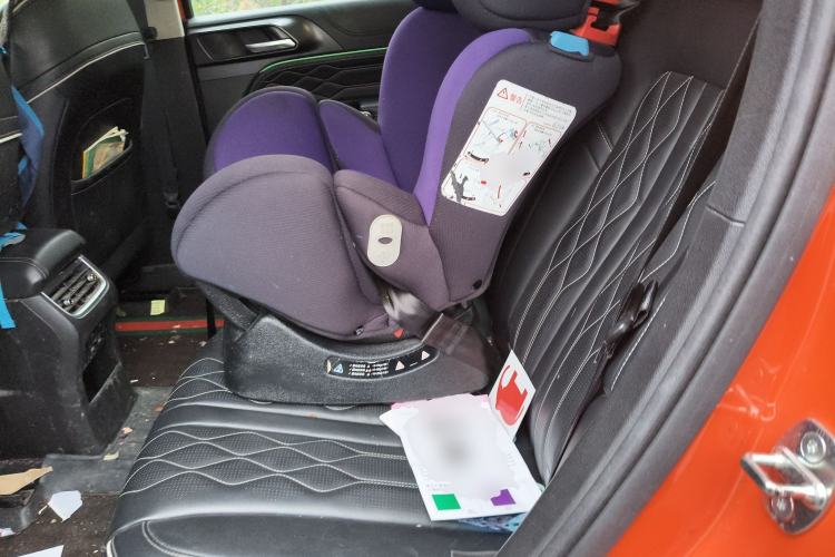 Used Tank 300 2023 City Edition 2.0T My Vision Model
