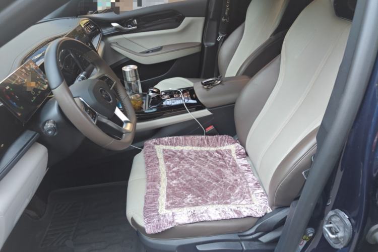 Used BYD Qin PLUS 2023 Champion Edition DM-i 55KM Leading Model