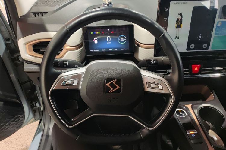 Used SOL E10X 2022 Flower Fairy Style Baby's Breath