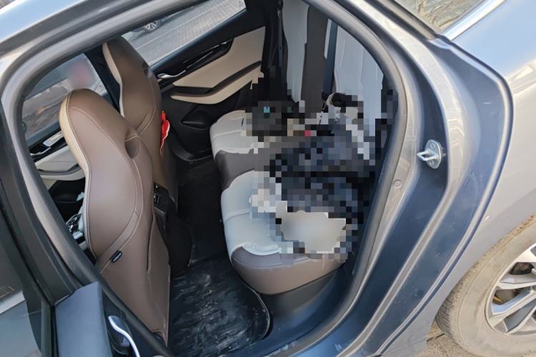 Used BYD Qin PLUS 2023 Champion Edition DM-i 55KM Leading Model