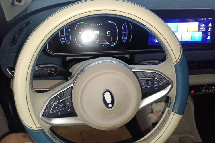 Used ORA Good Cat 2022 400km Standard Range Luxury Version Lithium Iron Phosphate Steering Wheel
