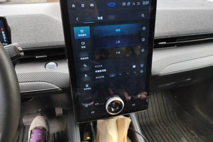 Used Ford Mustang Mach-E 2021 AION Y Plus Rear-Drive Luxury Edition (Long Range)