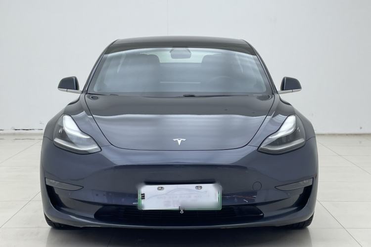 Used Tesla Model 3 2019 Long-Range All-Wheel-Drive Version
