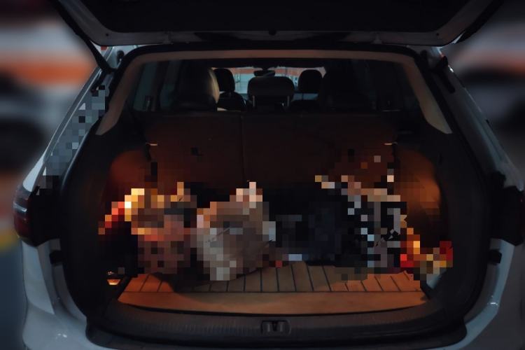 Used Volkswagen Viloran 2020 330TSI Luxury Edition Trunk