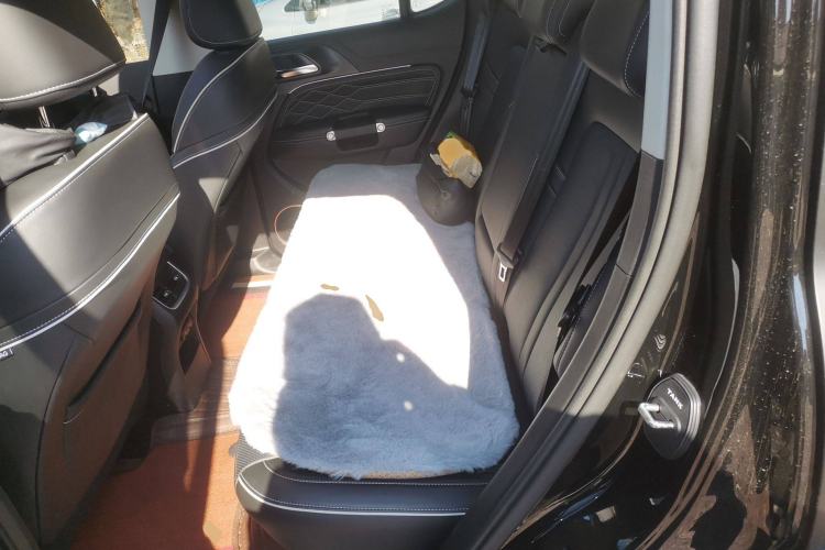 Used Tank 300 2024 2.0T Conqueror