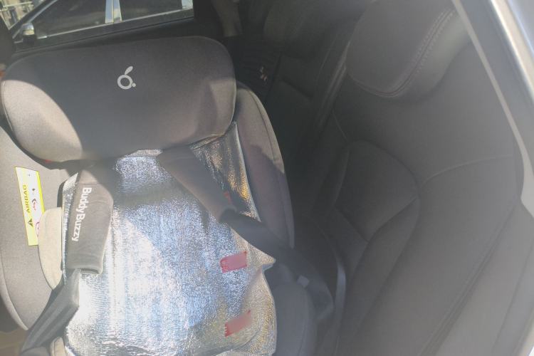 Used Haval H6 Coupe 2018 Blue Label 1.5T Automatic Two-Wheel Drive Ultra-Luxury Model Left Rear Seat