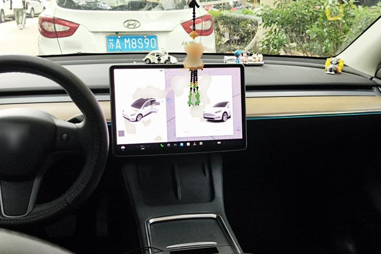 Used Tesla Model Y 2021 Standard Range Rear-Wheel Drive Version
