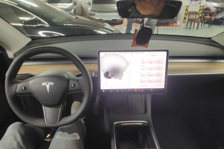 Used Tesla Model Y 2021 Standard Range Rear-Wheel Drive Version
