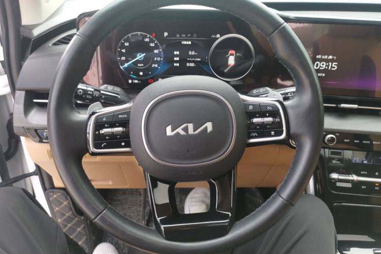 Used Kia Carnival 2021 2.0T Flagship Edition
