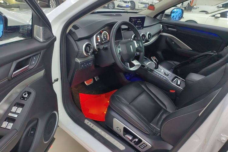 Used Wey VV6 2019 2.0T Two-Wheel-Drive Flagship Version China VI Standard
