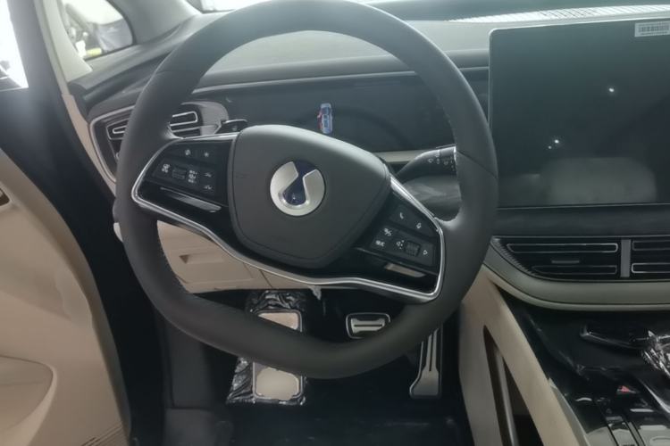 Used Denza D9 2025 Model EV Two-Wheel Drive Prestige Edition