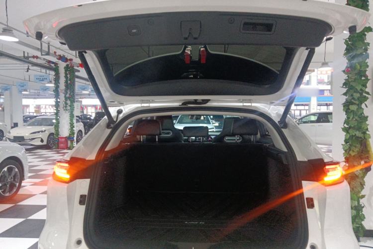 Used CHANGAN UNI-K iDD 2022 Blue Whale iDD 130km 1.5T Prestige Model Trunk