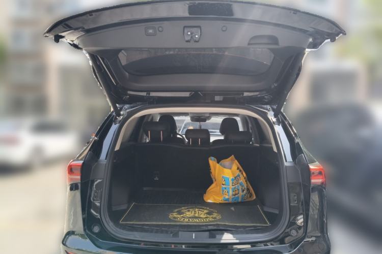 Used Haval H6 2024 1.5T Two-Wheel Drive Max