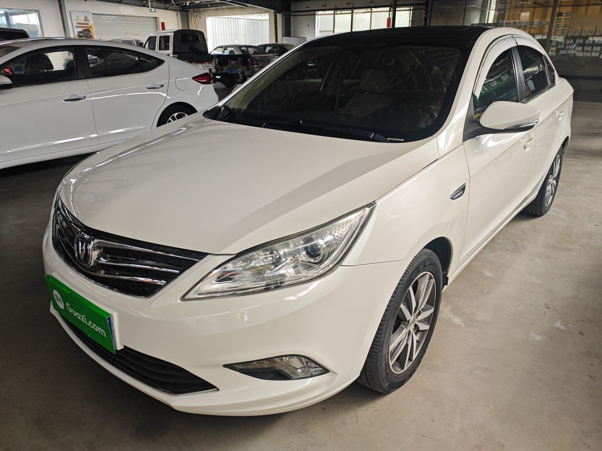 Parte inferior delantera