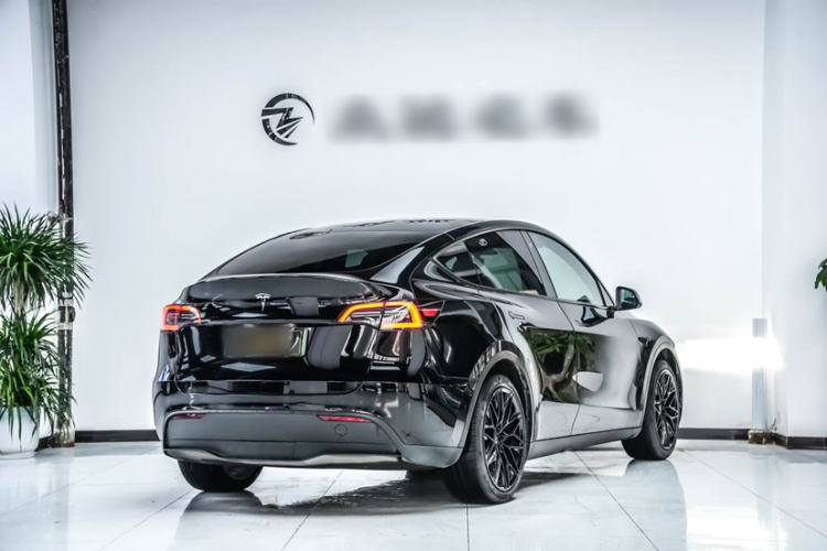 Used Tesla Model Y 2021 Standard Range Rear-Wheel Drive Version Exterior 5