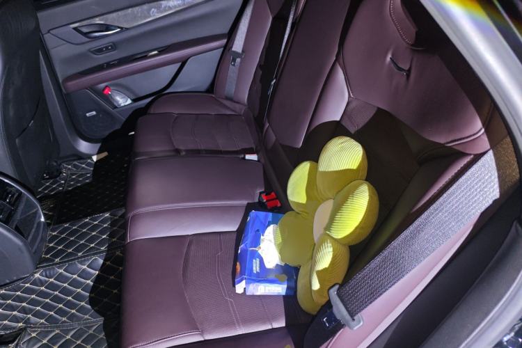 Used Cadillac CT6 2022 28T Prestige Edition Left Rear Seat