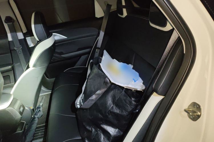 Used Geometry E Firefly 2022 401 km Linglong Tiger 4 Seats
