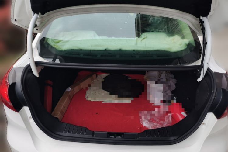 Used Ford Focus 2015 Sedan 1.6L Automatic Trend Model
