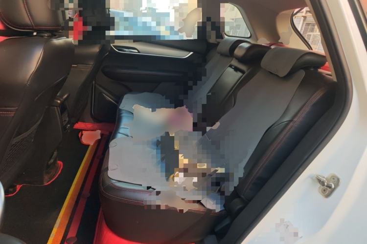 Used SWM G01 2018 1.5T Manual Smart UP