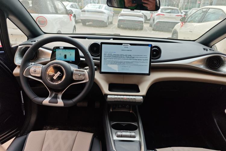 Used BYD Dolphin 2025 420km Free Edition
