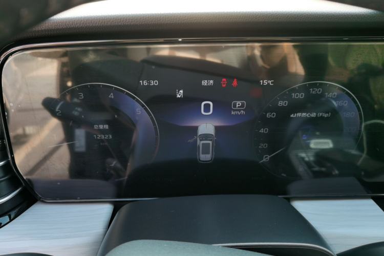 Used Hongqi HS5 2025 2.0T Two-Wheel Drive Flagship Pro Edition