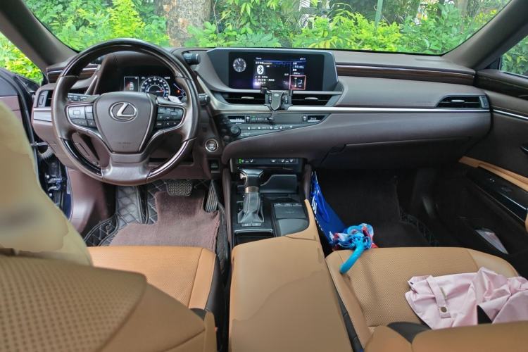 Used Lexus ES 2018 200 Luxury Edition China VI
