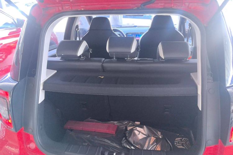 Used SOL E10X 2022 Flower Fairy Style Baby's Breath