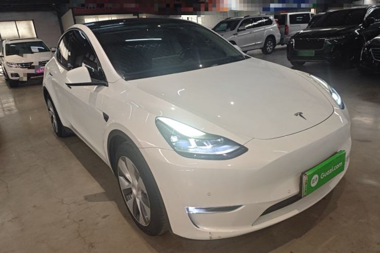 Used Tesla Model Y 2021 Standard Range Rear-Wheel Drive Version
