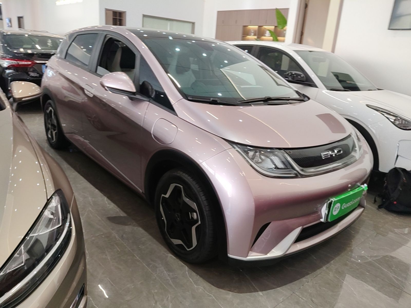 BYD Dolphin 2021 405 km Fashion Edition — снимка 3