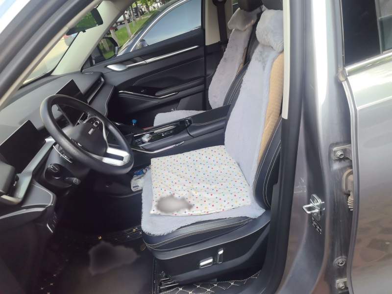 Used Haval H6 2022 3rd Generation 1.5T Automatic Two-Wheel Drive Pro — 7