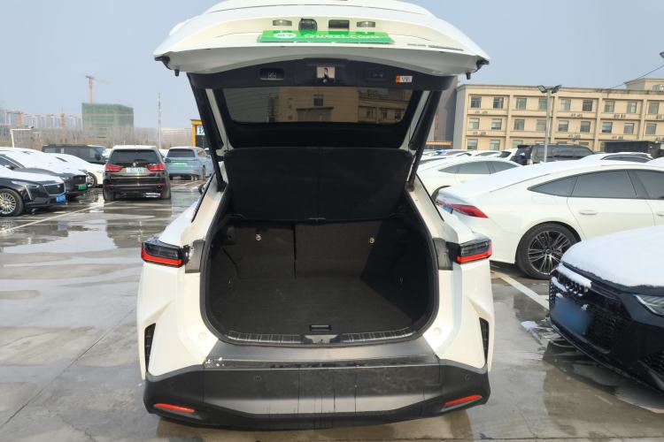 Used Lexus RZ 2023 450e All-Wheel Drive Luxury Edition