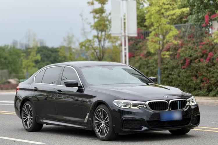 Used BMW 5 Series 2020 530Li Leading Model M Sport Package Exterior 3