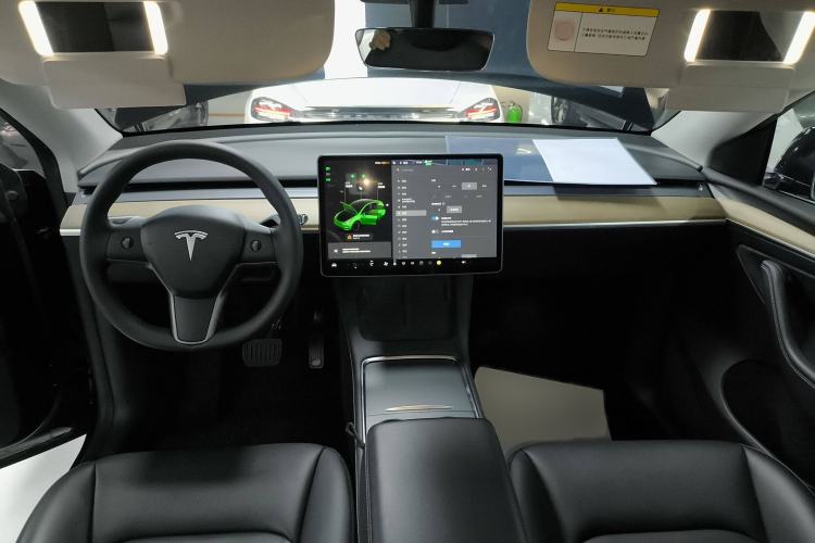 Used Tesla Model Y 2021 Standard Range Rear-Wheel Drive Version
