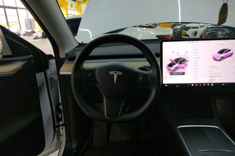 Used Tesla Model Y 2022 Revised Version Long-Range All-Wheel Drive
