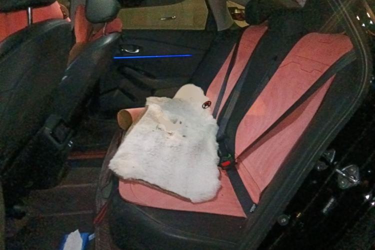 Used Honda Accord 2023 260TURBO Smart Enjoyment Version
