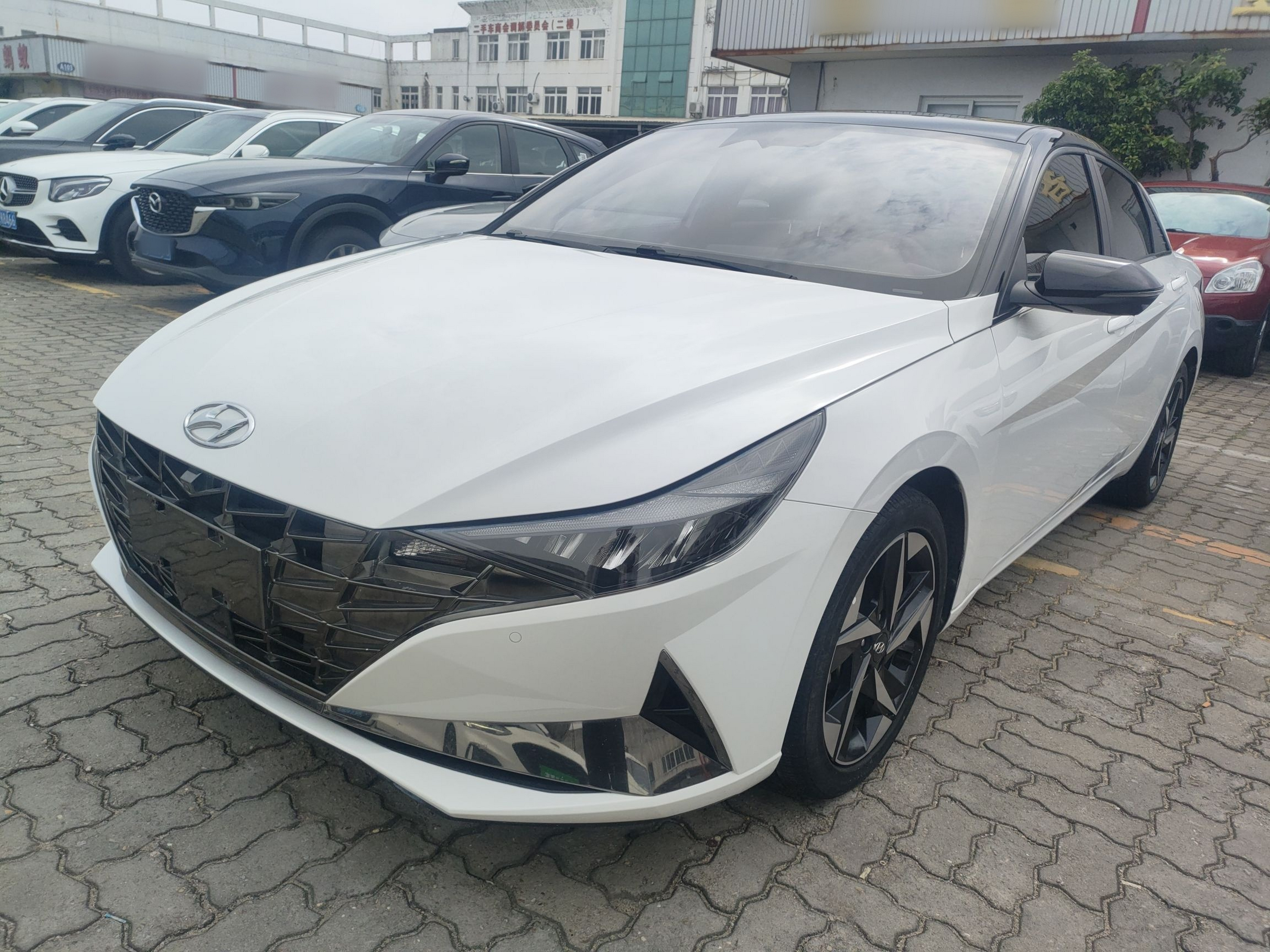 تحت مقدمة السيارة